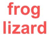 frog lizard