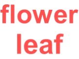 flower leaf