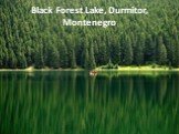 Black Forest Lake, Durmitor, Montenegro