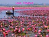 Lake, Thailand