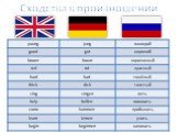 Сходства и различия в лексике английского и немецкого Слайд: 8
