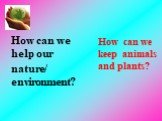 How can we help our nature/ environment? How can we keep animals and plants?