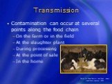 Contamination can occur at several points along the food chain On the farm or in the field At the slaughter plant During processing At the point of sale In the home