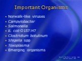 Norwalk-like viruses Campylobacter Salmonella E. coli O157:H7 Clostridium botulinum Shigella spp Toxoplasma Emerging organisms