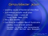 Campylobacter jejuni. Leading cause of bacterial diarrhea 2.4 million people each year Children under 5 years old Young adults (ages 15-29) Very few deaths Can lead to Guillain-Barré Syndrome Leading cause of acute paralysis Develops 2-4 weeks after Campylobacter infection (after diarrheal signs dis