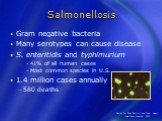 Salmonellosis. Gram negative bacteria Many serotypes can cause disease S. enteritidis and typhimurium 41% of all human cases Most common species in U.S. 1.4 million cases annually 580 deaths