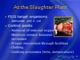 At the Slaughter Plant. FSIS target organisms Salmonella and E. coli Control points Removal of internal organs Minimize contact between carcasses Proper movement through facilities Chilling Cooking processes (time, temperature)