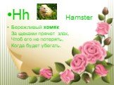 Hh Hamster Бережливый хомяк За щеками прячет злак, Чтоб его не потерять, Когда будет убегать.