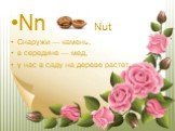 Nn Nut Снаружи — камень, в середине — мед, у нас в саду на дереве растет.