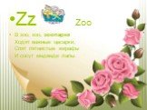 Zz Zoo В зоо, зоо, зоопарке Ходят важные цесарки, Спят пятнистые жирафы И сосут медведи лапы.