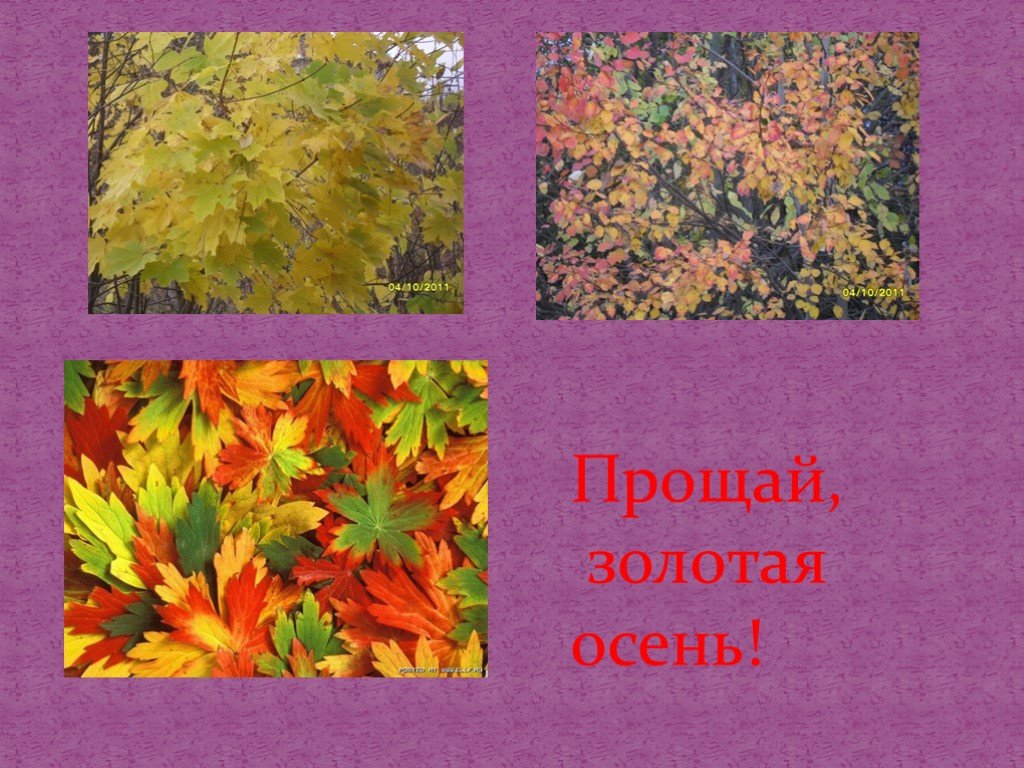 Презентации осень золотая. Прощай осень Золотая. Презентация осень. Золотая осень презентация. Картинка Прощай Золотая осень.