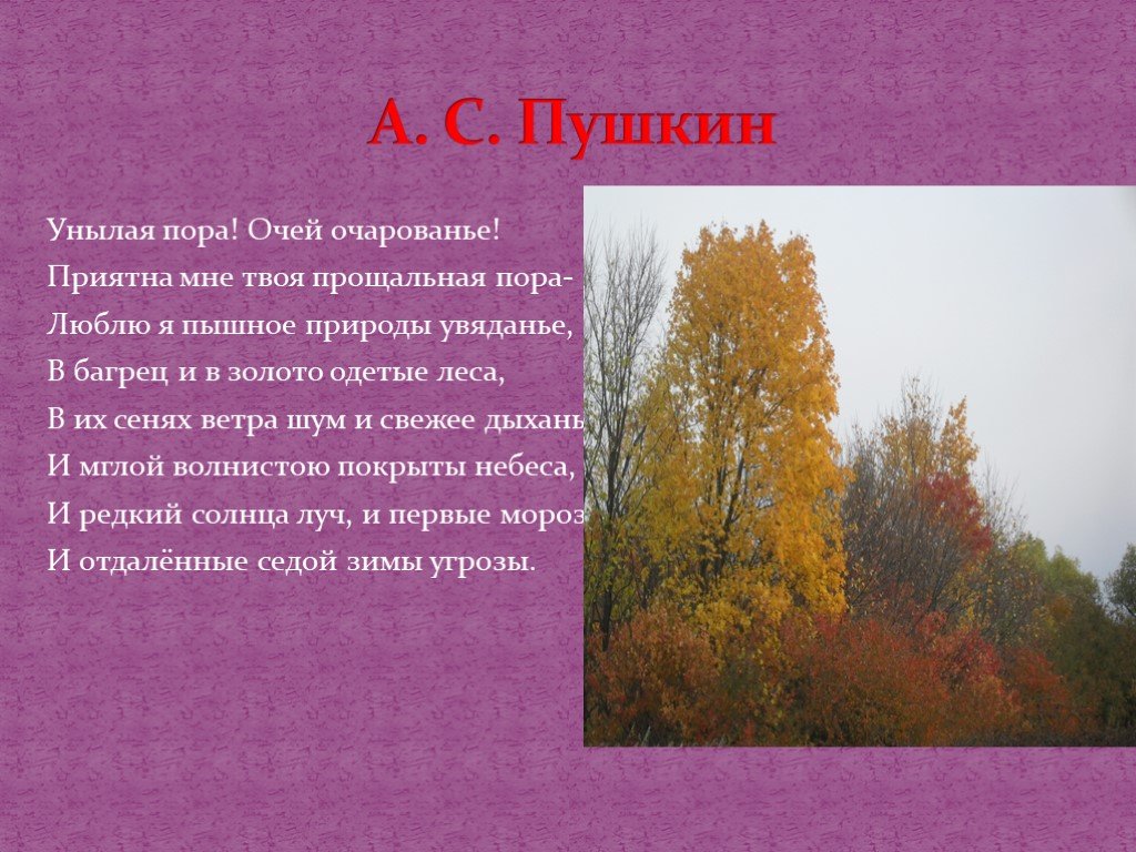 Пушкин люблю я пышное природы. В багрец и золото одетые леса Пушкин. Люблю я пышное природы увяданье. Пушкин люблю я пышное природы увяданье. Стихотворение Пушкина багрец и золото одетые леса.