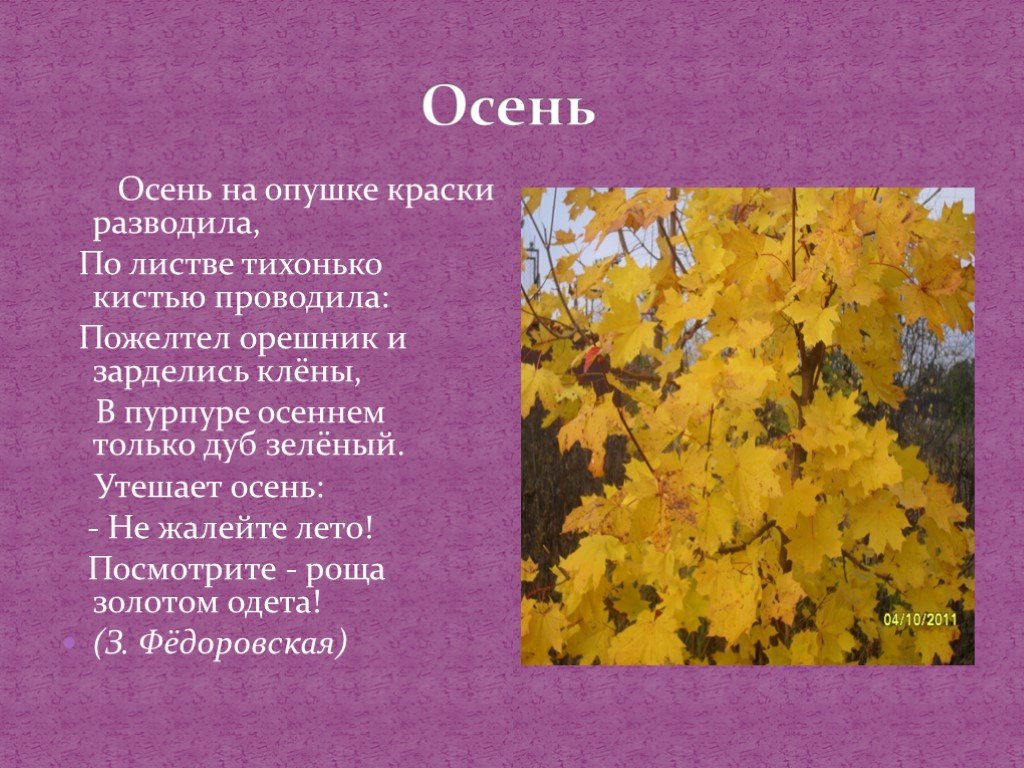 Какой схеме соответствует предложение из стихотворения пастернака орешник тебя