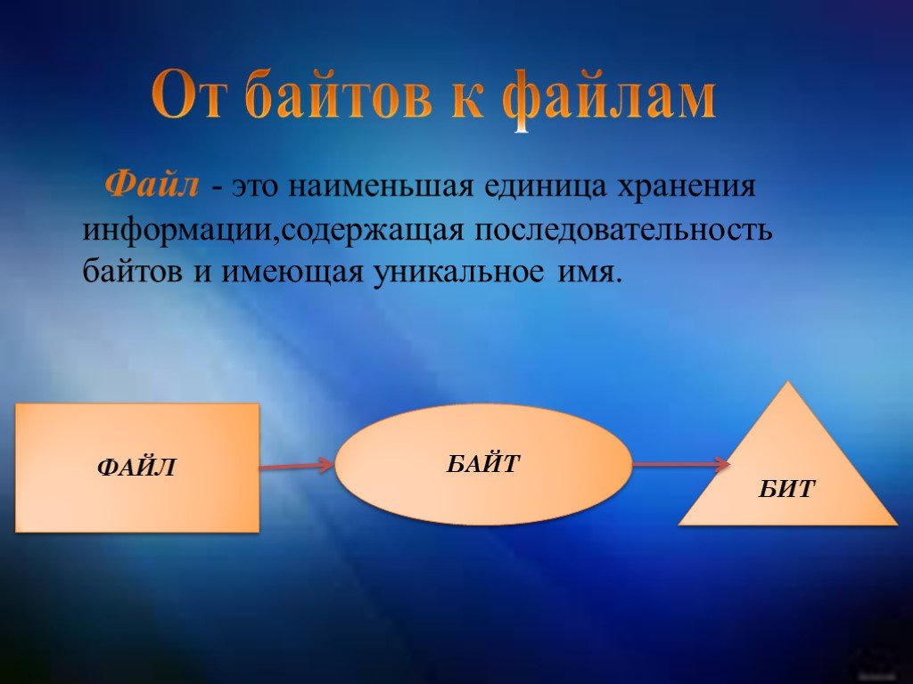 Уникальны и обладают. Наименьшая единица хранения информации. Файл как единица хранения информации. Файл как единица хранения информации на компьютере. Файл это наименьшая единица.