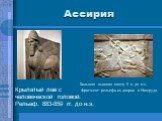 Ассирия. Крылатый лев с человеческой головой. Рельеф. 883-859 гг. до н.э. Большая львиная охота. 9 в. до н.э. Фрагмент рельефа из дворца в Нимруде.
