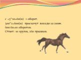 с =3*20=60(м) 1 оборот. 300*2=600(м) проскачут лошади за 2мин. 600:60=10 оборотов. Ответ: 10 кругов, 260 прыжков.