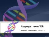 Структура генов TCR