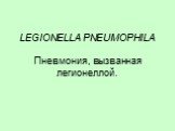 LEGIONELLA PNEUMOPHILA Пневмония, вызванная легионеллой.
