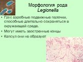 Морфология рода Legionella. Гр(-) аэробные подвижные палочки, способные длительно сохраняться в окружающей среде. Могут иметь заостренные концы Капсул они не образуют.