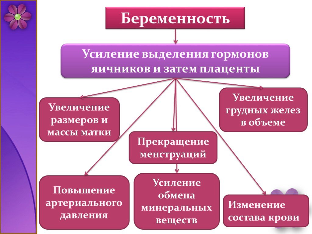 Презентация на тему беременность и роды 8 класс