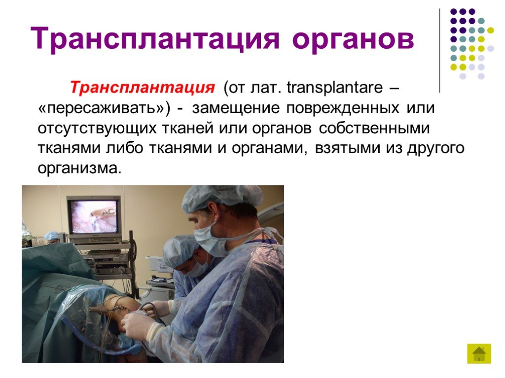 Пересадка определение. Трансплантация презентация. Пересадка органов презентация. Трансплантация органов и тканей презентация. Презентация на тему трансплантология.