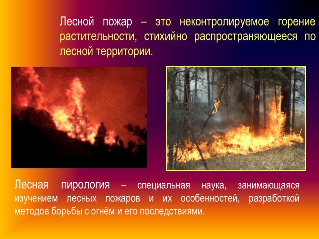 Внешнее горение. Пожар для презентации. Экологическая роль лесных пожаров. Природные пожары презентация. Лесные пожары слайд.