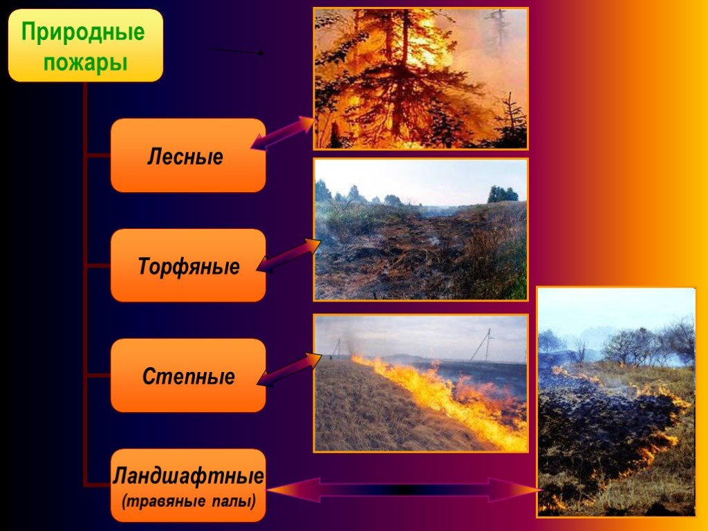 Природный пожар определение. Лесные и торфяные пожары. Классификация торфяных пожаров. Ландшафтный природный пожар. Лесные и степные пожары.