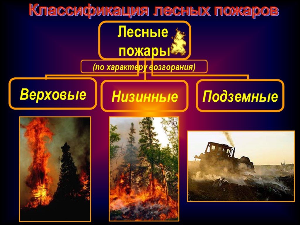Какие существуют пожары. Виды лесных пожаров. Классификация природных пожаров. Классификация низовых пожаров. Классификация торфяных пожаров.