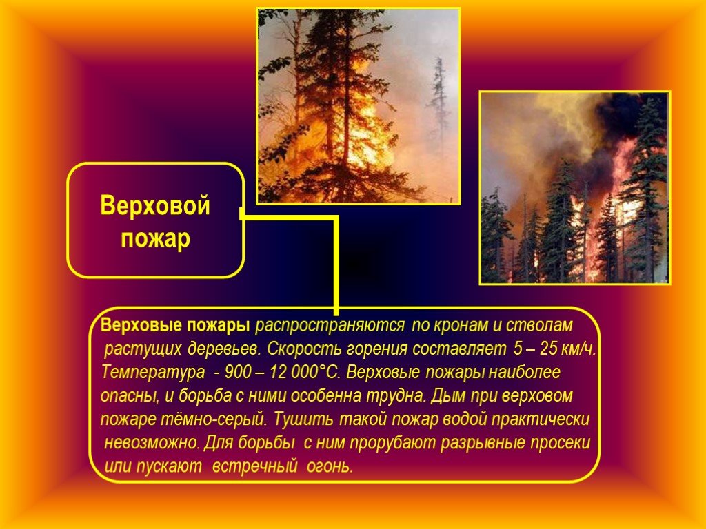 Верховые низовые подземные. Низовой и верховой Лесной пожар. Низовой беглый Лесной пожар. Верховой пожар характеристика. Верховые пожары характеристика.
