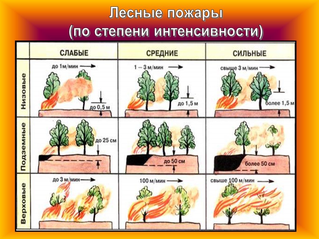 Лесные пожары и торфяные пожары и их характеристика презентация 7 класс