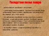 Последствия лесных пожаров. - уничтожаются уникальные экосистемы; - в атмосферу выбрасывается огромное количество дыма, содержащего такие опасные загрязнители как углекислый газ, угарный газ и окись азота; - от задымления страдают жители городов и поселков (особенно опасно задымление воздуха для дет