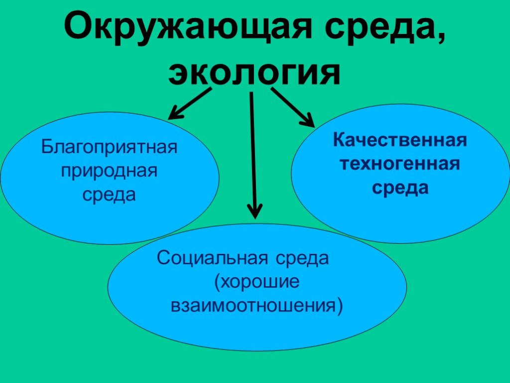 Определение социальной экологии. Окружающая среда социальная. Социально экологическая среда это. Благоприятная окружающая природная среда. Социальная экология.