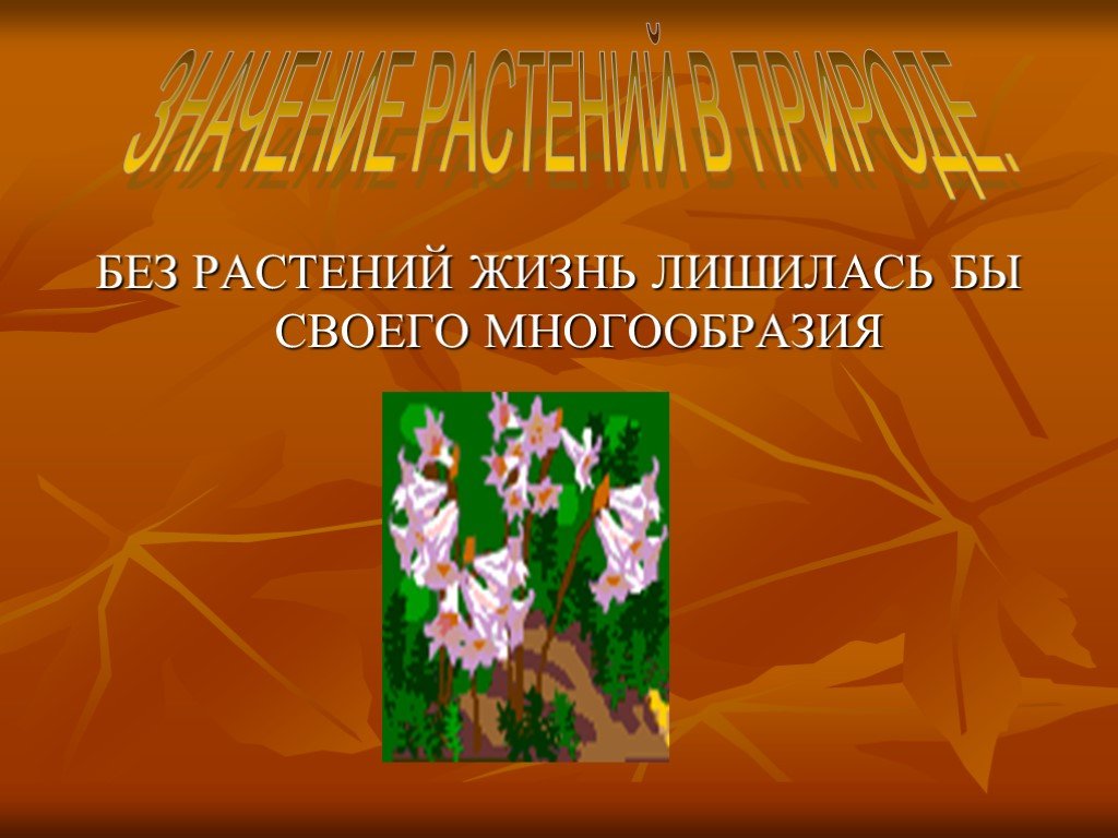 Презентация жизнь растений. Жизнь растений.. Без растений. Общественная жизнь растений. Тема проекта жизнь растений где найти информацию.