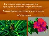 На земном шаре насчитывается примерно 500 тысяч видов растений. Многообразие растений изучает наука БОТАНИКА.