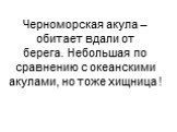 Черноморская акула –обитает вдали от берега. Небольшая по сравнению с океанскими акулами, но тоже хищница !