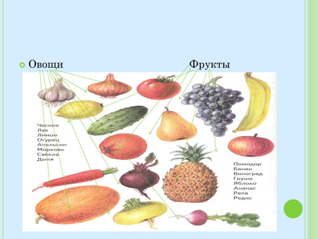 Овощи фрукты окружающий мир 1 класс