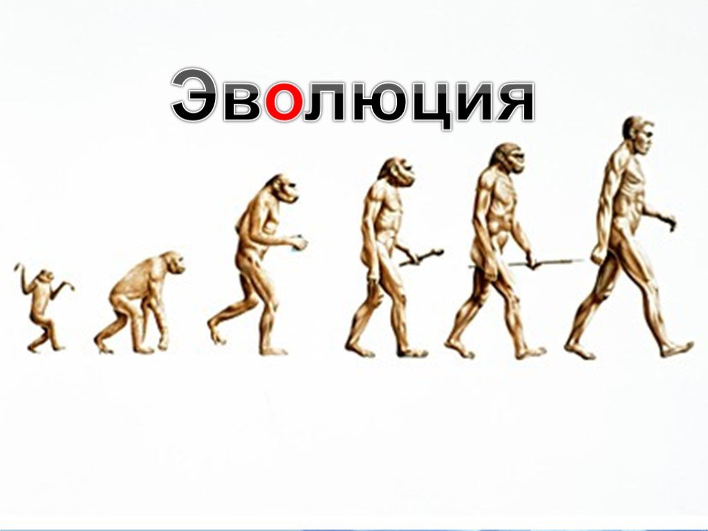 Эволюция видна. Эволюция. Эволюция слово. Эволюция человека. Эволюция картинки.