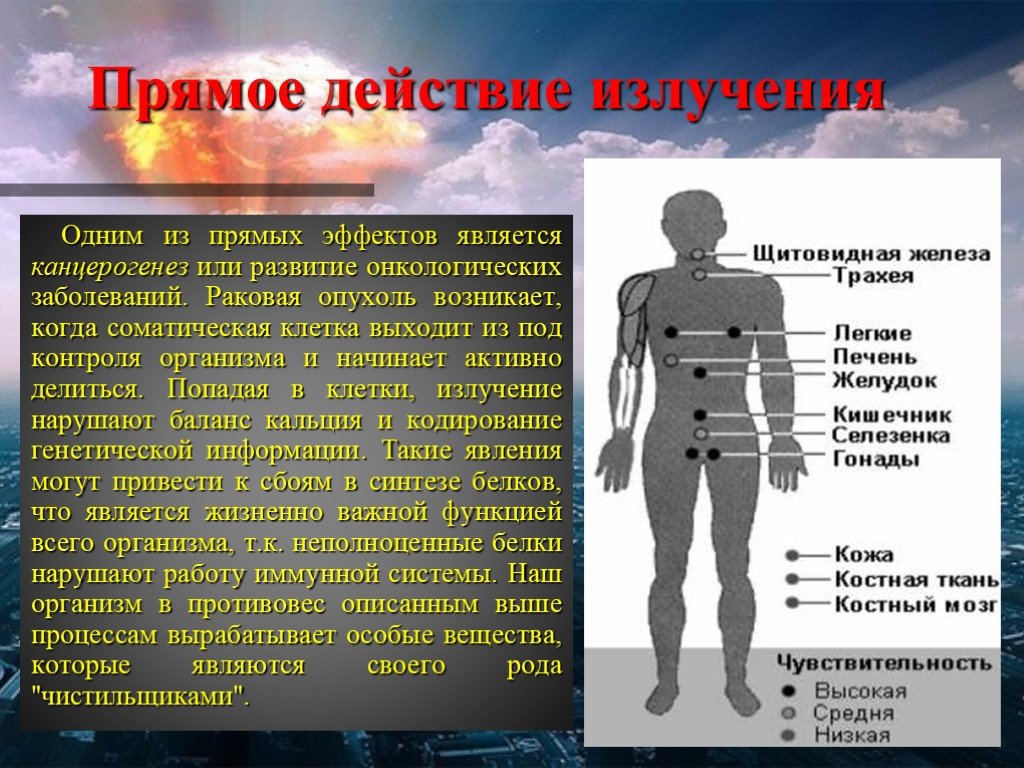 Действие радиоактивного излучения на человека. Биологическое воздействие радиации на организм. Биологическое действие радиации. Воздействие излучения на организм.