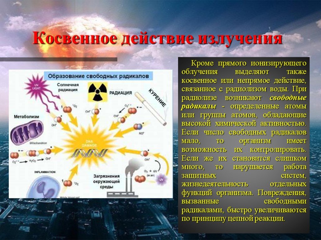 Биологическое действие радиоактивных излучений презентация. Биологическое воздействие излучения. Биологическое воздействие ионизирующих излучений. Биологическое влияние радиации. Косвенное действие радиации.