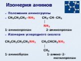 Изомерия аминов. Положения аминогруппы CH3CH2CH2–NH2 CH3–CH–CH3 │ NH2 1-аминопропан 2-аминопропан Изомерия углеродного скелета CH3CH2CH2CH2NH2 CH3CHCH2NH2 │ CH3 1-аминобутан 1-амино-2- метилпропан