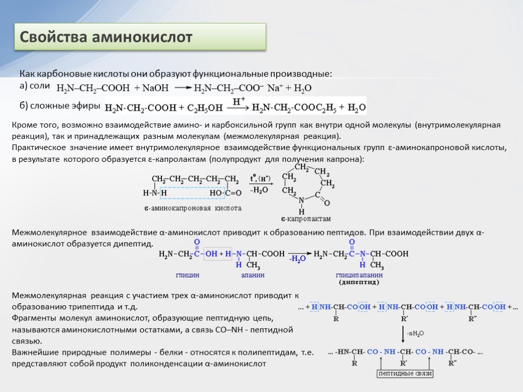 Свойства аминов кислотами. Аминокислоты взаимодействие с основаниями и кислотами. Взаимодействие аминокислот с аминами реакция. Взаимодействие аминокислот с аминокислотами. Взаимодействие аминокислот с карбоновыми кислотами.