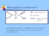 Общая формула аминокислот. H R1 O NH2 – аминогруппа N – C – C R – радикал H H OH COOH – карбоксильная группа. Аминокислоты являются амфотерными соединениями (в растворе они могут выступать как в роли кислот, так и оснований)