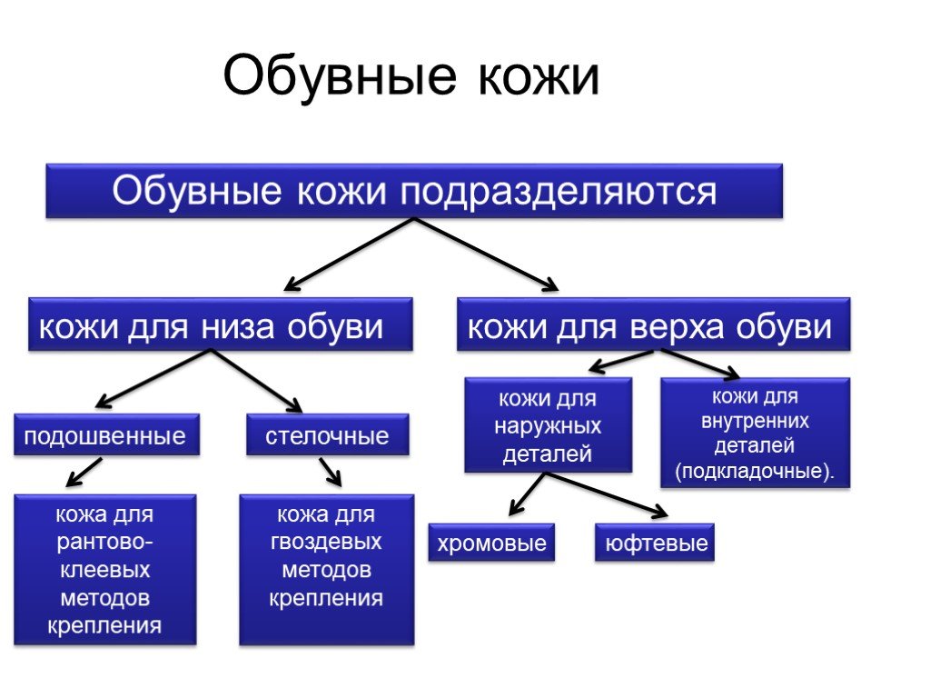 Кожевенно обувные товары презентация