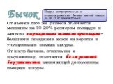 Бычок. От яловки того же развеса отличается меньшим на 10-20% размером площади и заметно выраженными половыми признаками – большими складками кожи на воротке и утолщенными полами шкуры. От шкур бычков, относимых к полукожнику, отличается более развитой борушистостью, занимающей до половины площади ш