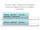 Конские шкуры в зависимости от возраста животных подразделяются на следующие категории: