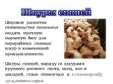 Шкуры свиней. Широкое развитие свиноводства позволило создать прочную сырьевую базу для переработки свиных шкур в кожевенной промышленности. Шкуры свиней, наряду со шкурами крупного рогатого скота, овец, коз и лошадей, стали относиться к основному виду кожевенного сырья.