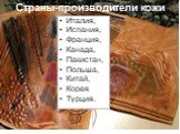 Страны-производители кожи. Италия, Испания, Франция, Канада, Пакистан, Польша, Китай, Корея Турция.