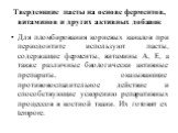 Твердеющие пасты на основе ферментов, витаминов и других активных добавок. Для пломбирования корневых каналов при периодонтите используют пасты, содержащие ферменты, витамины А, Е, а также различные биологически активные препараты, оказывающие противовоспалительное действие и способствующие ускорени