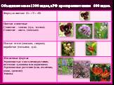 Объединяет около1300 видов, в РФ произрастают свыше 600 видов.