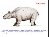 Токсодон. Это был южноамериканский аналог бегемотов и носорогов: до 3 м в длину, 1,5 м в холке и весом в тонну. Токсодон был растительнояд-ным зверем.